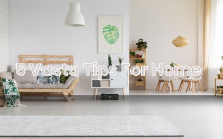 Effective Vastu Remedies to Restore Balance and Harmony in Your Home