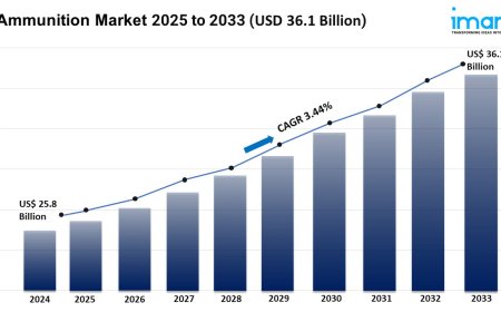 Ammunition Market Size, Growth & Trends Forecast 2025-2033