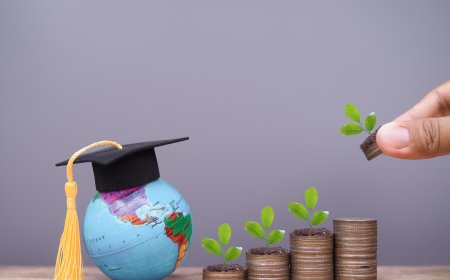 Master Financial Strategy with an online MBA in Finance