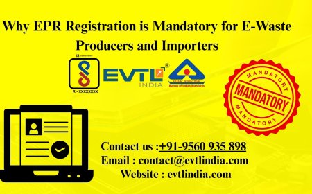 EPR Registration Portal Explained How to Apply and Get Approved Fast