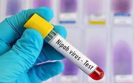 Why NIPT Test at Home Is Changing the Way Pregnant Women Experience Prenatal Care