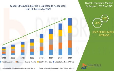 Ethoxyquin Market Overview: Trends, Challenges, and Forecast to 2029