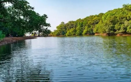 Discover Peaceful Beauty at Charlotte Lake in Matheran