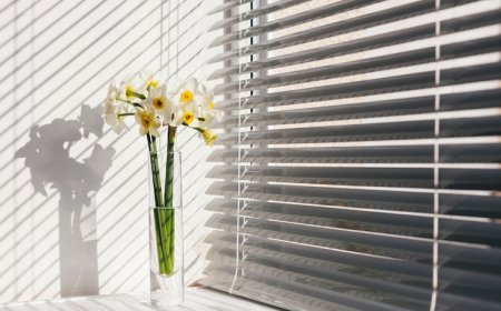 Office Makeover? Choose Vertical Blinds in Dubai for a Sleek Look