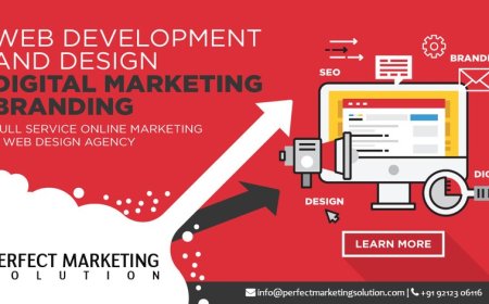 Why You Need a Software Development Agency for Your Business