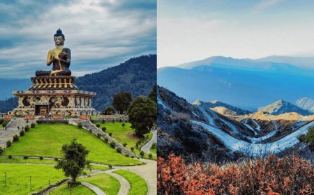 Sips of Serenity: The Charm of Darjeeling Tea Country