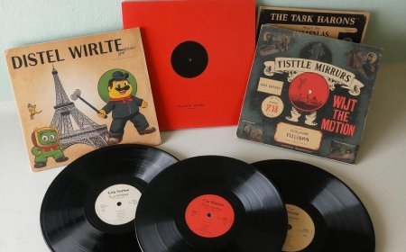 Top 10 Most Valuable Old Bollywood Vinyl Records Ever Sold