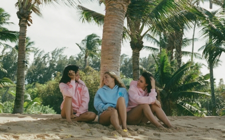 Pink Palm Puff Hoodie and Pink Palm Puff Bold Comfort for a New Generation of Style