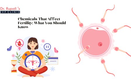 Chemicals That Affect Fertility: What You Should Know