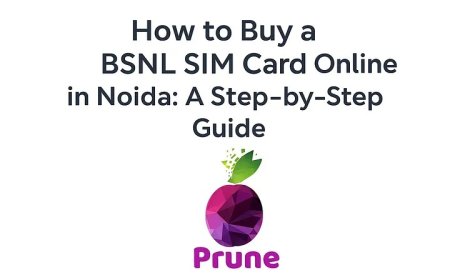 How to Buy a BSNL SIM Card Online in Noida: A Step‑by‑Step Guide