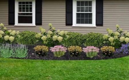 Landscaping in Manassas, VA: Your Home’s Outdoor Transformation Starts Here