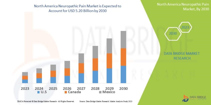 North America Neuropathic Pain Market Rises Amid Growing Cases of Chronic Pain Disorders