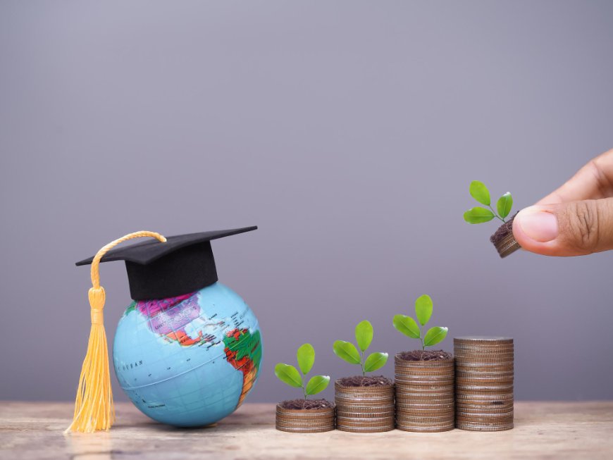Master Financial Strategy with an online MBA in Finance