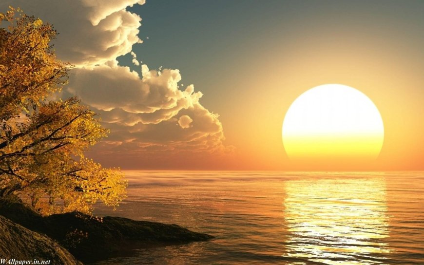 How to Celebrate Summer Solstice USA 2025 | Wordscraze
