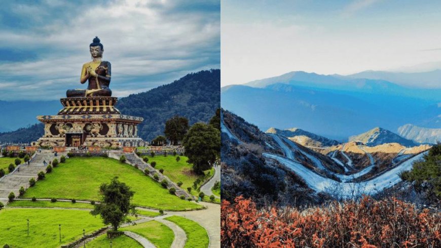 Sips of Serenity: The Charm of Darjeeling Tea Country
