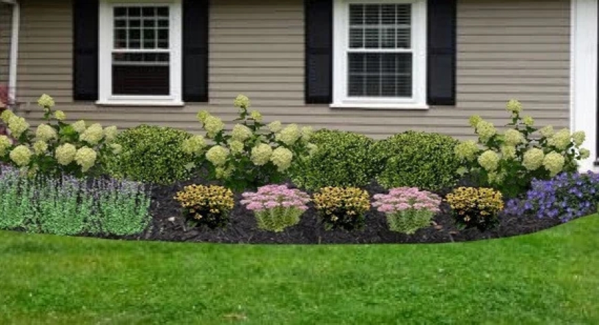 Landscaping in Manassas, VA: Your Home’s Outdoor Transformation Starts Here