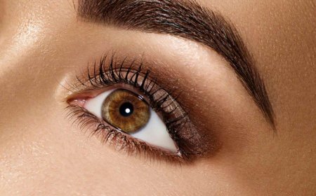 The Best Eyebrow Tint: Everything You Need to Know for Perfect Brows