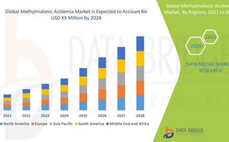 Methylmalonic Acidemia Market Trends, Opportunities and Forecast By 2028