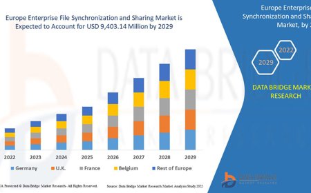 Europe Enterprise File Synchronization and Sharing Market Industry Analysis and Forecast By 2029