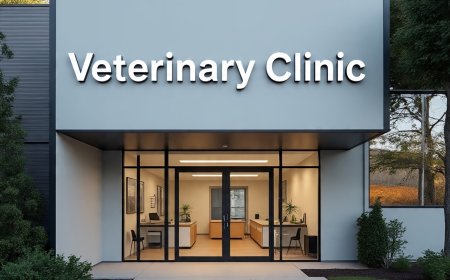 Vancouver Veterinary Clinics for Pet Reproductive Health