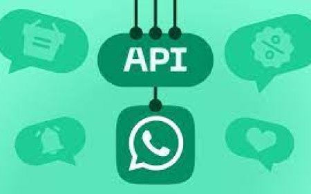 How to Optimize Customer Support with WhatsApp Business API