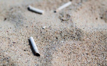 Environmental Effects of Cigarette Litter: A Hidden but Growing Concern
