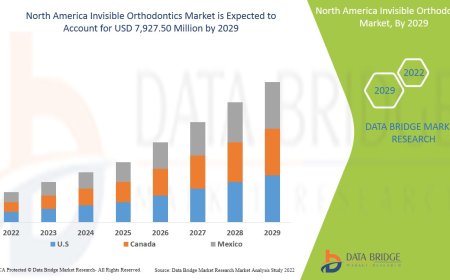 North America Invisible Orthodontics Market Industry Statistics: Growth, Share, Value, and Trends