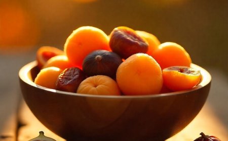 Organic Dry Fruits – Pure, Healthy & Chemical-Free | Natureland Organics