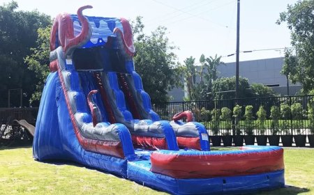 Magical Celebrations: A Local Guide to Jumpers and Disney Bounce House Rentals in San Diego