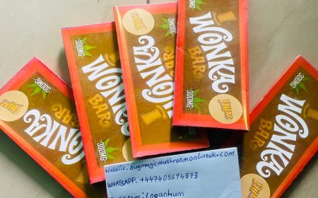 How to use magic mushroom chocolate for Recreationally Purpose