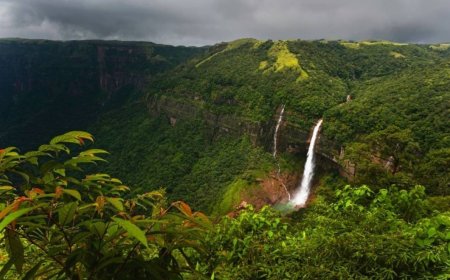 Shillong Guwahati Tour Package: Why It’s Perfect for Family & Friends