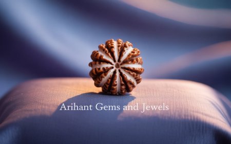 8 Mukhi Rudraksha Benefits, Uses & Buying Guide – Arihant Gems and Jewels