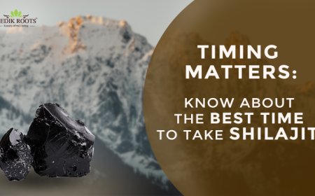 Timing Matters: Know About The Best Time To Take Shilajit?