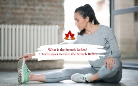Understanding Reflex Stretch: How Your Body Protects and Performs