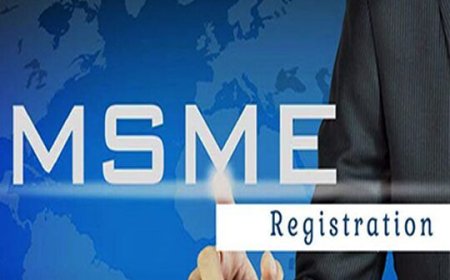 MSME Registration Consultants in Delhi: Empowering Small Businesses for Growth
