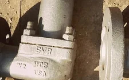 Pressure Safety Valve Manufacturers in India