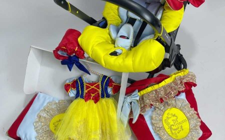 Baby Car Seat Covers for Boys: Safe, Stylish, and Built for Adventure – Only at Boss and Baby