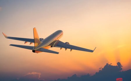Singapore Airlines Phone Number Los Angeles – Connect with Premium Service
