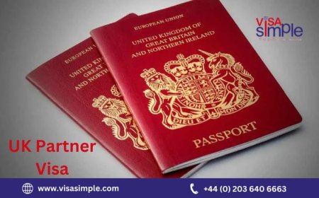 Understanding the UK Partner Visa: A Pathway to Reunite with Loved Ones
