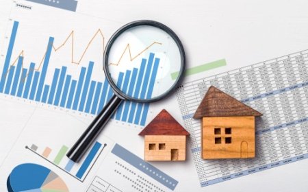 Why You Need a Professional Rental Website Development Company in the USA