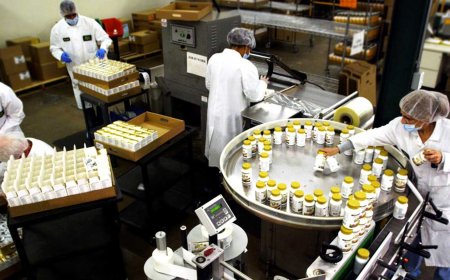 Can You Customize Supplements for Different Age Groups?