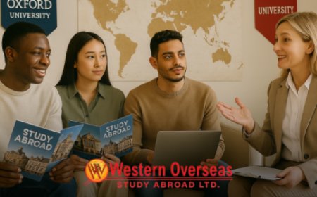 What Is the Best Way to Learn German from Scratch Easily?