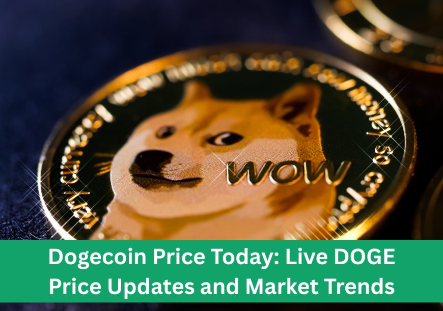Dogecoin Price Today: Live DOGE Price Updates and Market Trends