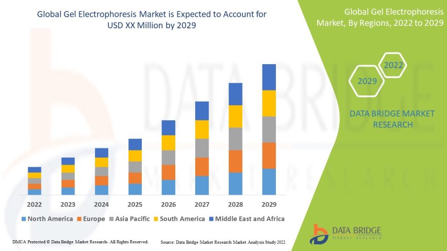 Gel Electrophoresis Market Trends, Opportunities and Forecast By 2029
