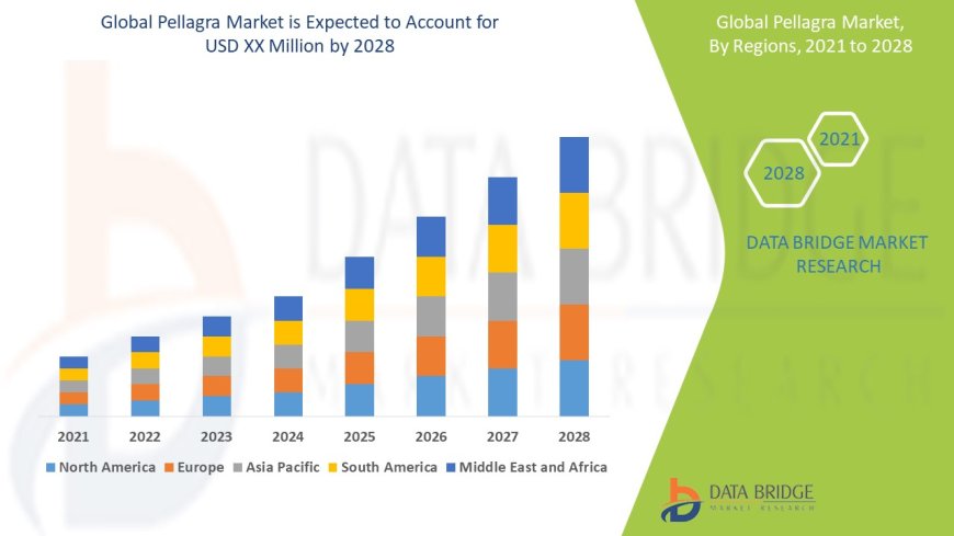 Pellagra Market Research Report: Share, Growth, Trends and Forecast By 2028