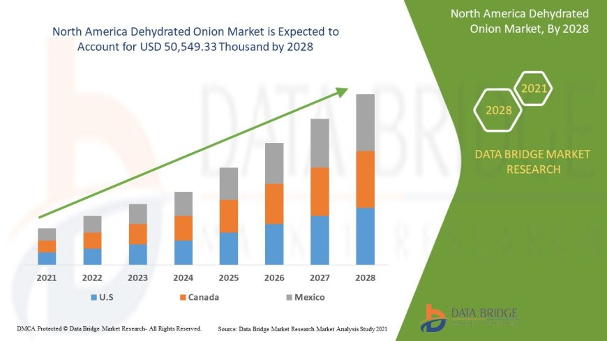 North America Dehydrated Onion Market Research Report: Share, Growth, Trends and Forecast By 2028