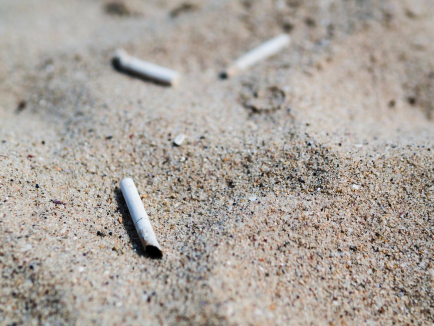 Environmental Effects of Cigarette Litter: A Hidden but Growing Concern