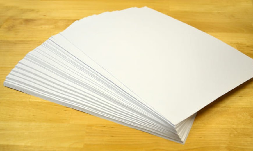 Stand Out with Personalized Custom Wax Paper Wraps