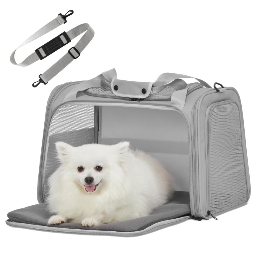 Choosing the Right Dog Carrier for Your Pet’s Comfort and Safety
