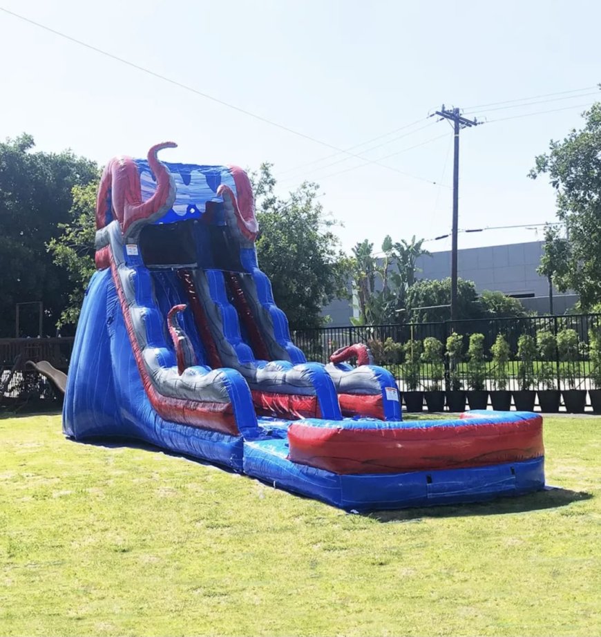 Magical Celebrations: A Local Guide to Jumpers and Disney Bounce House Rentals in San Diego